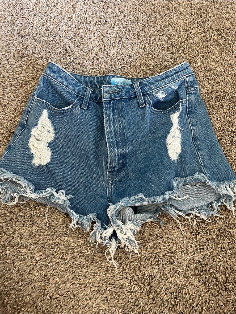 Show Me Your Mumu High Waisted Distressed Shorts 26